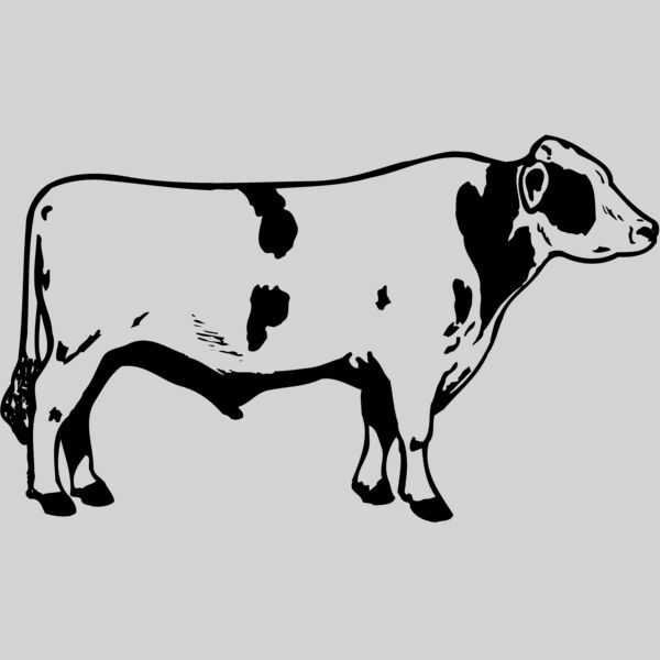 COW020 Thumbnail