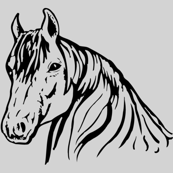 HORSE006 Thumbnail