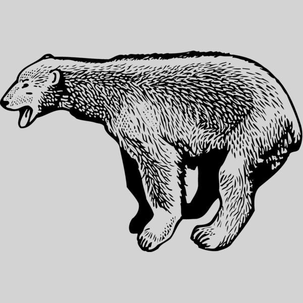 BEAR014_ Thumbnail