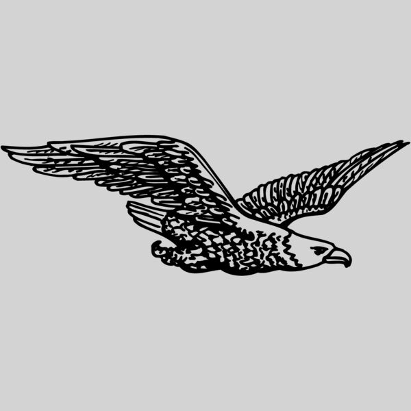 EAGLE006 Thumbnail