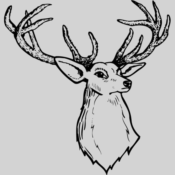 DEER008 Thumbnail
