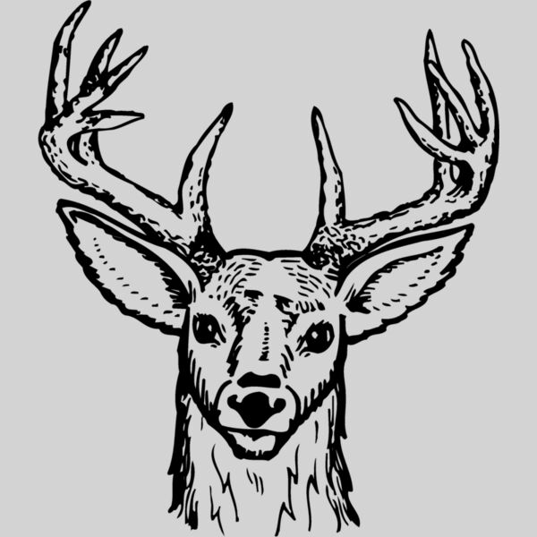 DEER012 Thumbnail