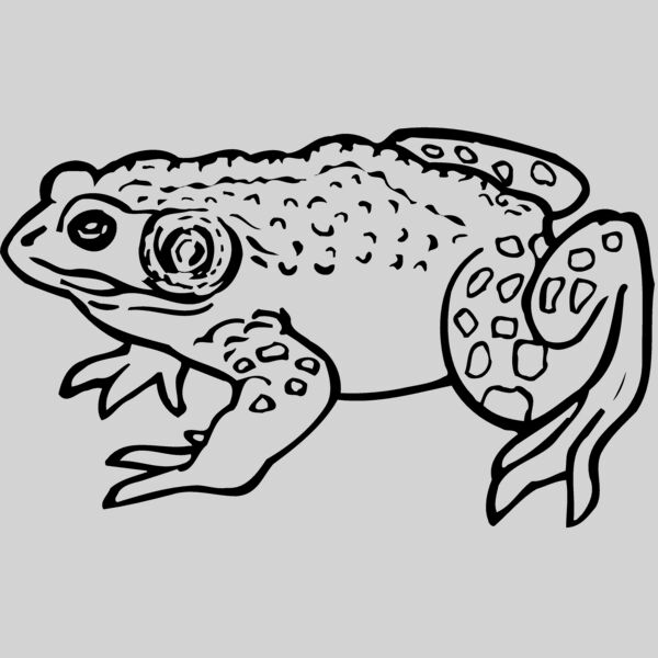 FROG02 Thumbnail