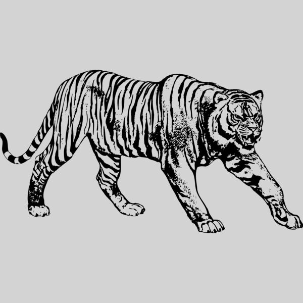 TIGER005 Thumbnail