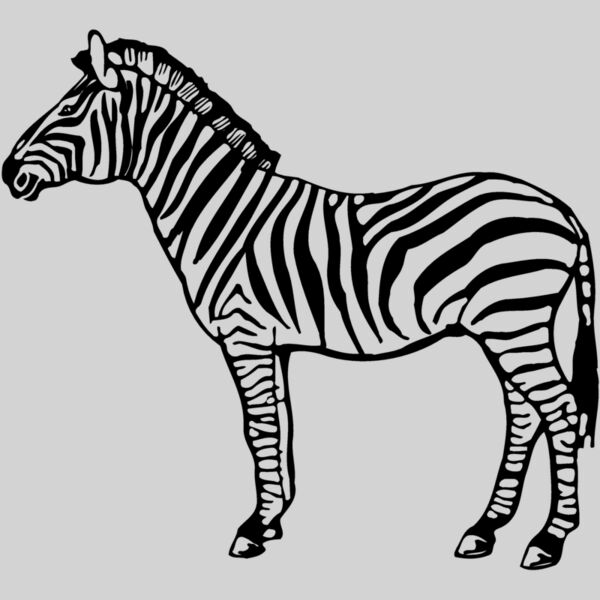 ZEBRA004 Thumbnail