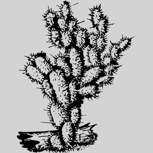 CACTUS09 Thumbnail