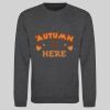 AWDis sweatshirt Thumbnail