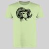Ultra Cotton Mens T-shirt Thumbnail