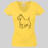 Lady-fit Valueweight V-Neck T-Shirt Thumbnail