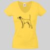 Lady-fit Valueweight V-Neck T-Shirt Thumbnail