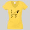 Lady-fit Valueweight V-Neck T-Shirt Thumbnail