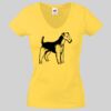 Lady-fit Valueweight V-Neck T-Shirt Thumbnail