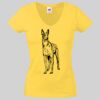 Lady-fit Valueweight V-Neck T-Shirt Thumbnail