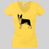 Lady-fit Valueweight V-Neck T-Shirt Thumbnail