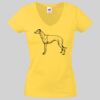 Lady-fit Valueweight V-Neck T-Shirt Thumbnail