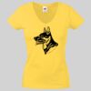 Lady-fit Valueweight V-Neck T-Shirt Thumbnail