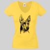 Lady-fit Valueweight V-Neck T-Shirt Thumbnail