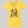Lady-fit Valueweight V-Neck T-Shirt Thumbnail
