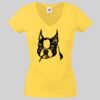 Lady-fit Valueweight V-Neck T-Shirt Thumbnail