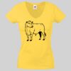 Lady-fit Valueweight V-Neck T-Shirt Thumbnail