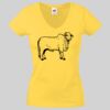 Lady-fit Valueweight V-Neck T-Shirt Thumbnail