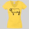 Lady-fit Valueweight V-Neck T-Shirt Thumbnail