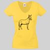 Lady-fit Valueweight V-Neck T-Shirt Thumbnail
