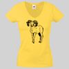 Lady-fit Valueweight V-Neck T-Shirt Thumbnail