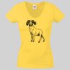 Lady-fit Valueweight V-Neck T-Shirt Thumbnail