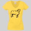 Lady-fit Valueweight V-Neck T-Shirt Thumbnail
