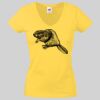 Lady-fit Valueweight V-Neck T-Shirt Thumbnail