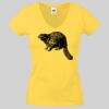 Lady-fit Valueweight V-Neck T-Shirt Thumbnail