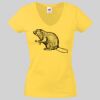 Lady-fit Valueweight V-Neck T-Shirt Thumbnail