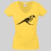 Lady-fit Valueweight V-Neck T-Shirt Thumbnail