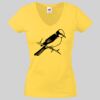 Lady-fit Valueweight V-Neck T-Shirt Thumbnail