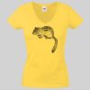 Lady-fit Valueweight V-Neck T-Shirt Thumbnail