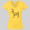 Lady-fit Valueweight V-Neck T-Shirt Thumbnail
