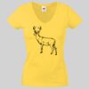 Lady-fit Valueweight V-Neck T-Shirt Thumbnail