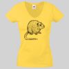 Lady-fit Valueweight V-Neck T-Shirt Thumbnail