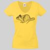 Lady-fit Valueweight V-Neck T-Shirt Thumbnail