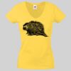 Lady-fit Valueweight V-Neck T-Shirt Thumbnail