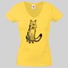 Lady-fit Valueweight V-Neck T-Shirt Thumbnail