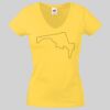 Lady-fit Valueweight V-Neck T-Shirt Thumbnail